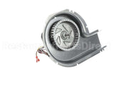 48GS400649 Bryant Payne Draft Inducer Motor Assembly