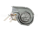 48TM000647 Bryant Payne Inducer Assembly