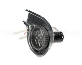 48TM000647 Bryant Payne Inducer Assembly