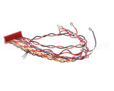 49775 Henny Penny Wire Assembly-Control To Relay