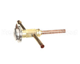 4A0229-04 Hoshizaki Cp Regulator