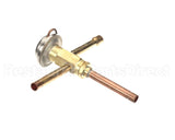 4A0229-04 Hoshizaki Cp Regulator