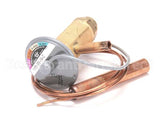 4A0922-01 Hoshizaki Valve-Expansion