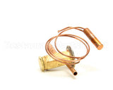 4A1117-01 Hoshizaki Expansion Valve Pcn