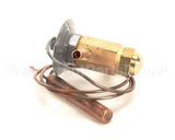 4A1135-01 Hoshizaki Expansion Valve