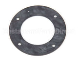 4A2974-01 Hoshizaki Pump Gasket