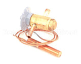 4A4196-01 Hoshizaki Expansion Valve