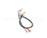 4CT687 Perfect Fry Harness Control L2