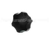 500056 Globe Removable Carriage Knob Assy