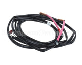 5009497 Daikin Thermistor Assembly