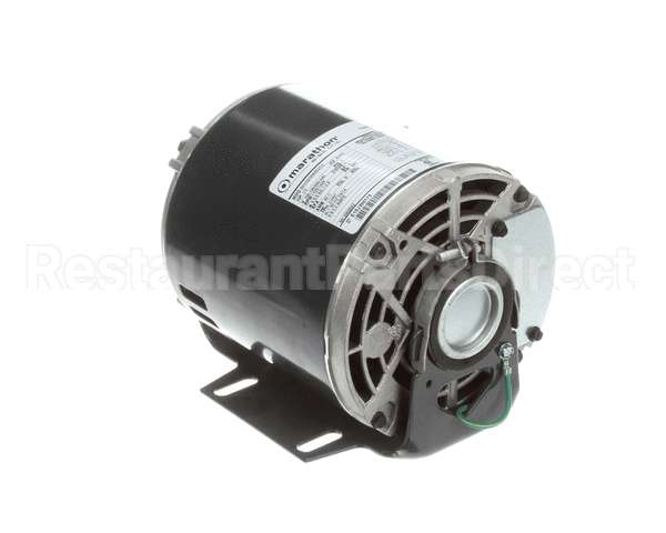 5009598 Multiplex Motor Carb Pump 120V Or 220V