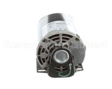 5009598 Multiplex Motor Carb Pump 120V Or 220V