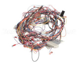 50107 Blodgett Harness,Bcx14E Manu Rear 24V