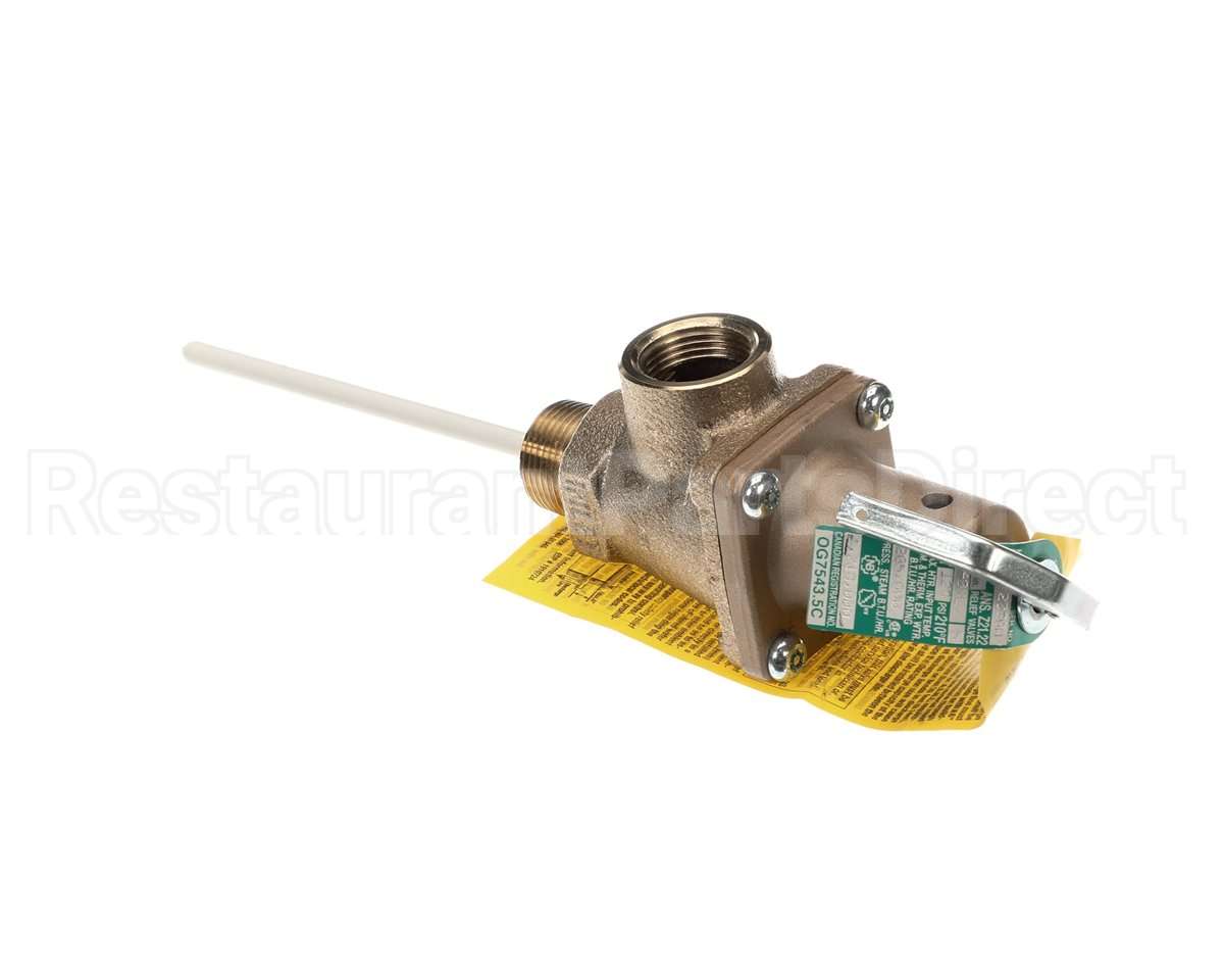 501753 Raypak Relief Valve