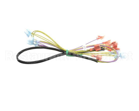 502817 Duke Harness,Wire Oven Lights