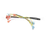 502817 Duke Harness,Wire Oven Lights