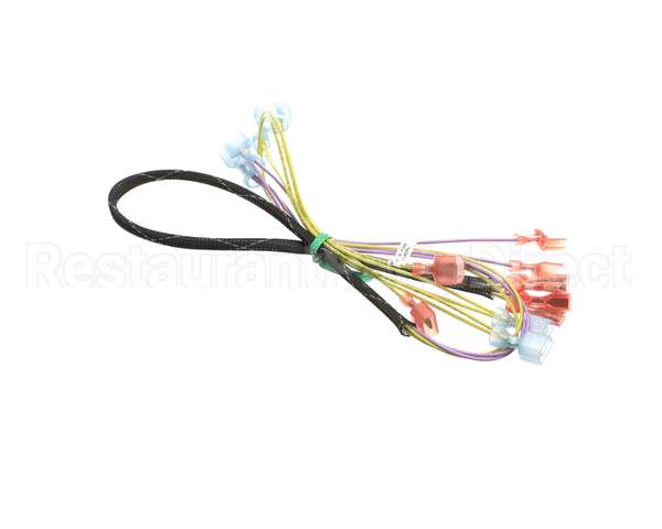 502817 Duke Harness,Wire Oven Lights