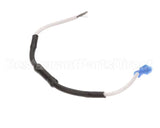 502853 Waring Fuse Lead Assembly.