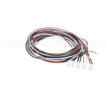 5028831 Alto Shaam Cable, Combined Gas Valve &