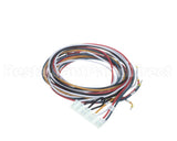 5028831 Alto Shaam Cable, Combined Gas Valve &
