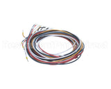 5028831 Alto Shaam Cable, Combined Gas Valve &