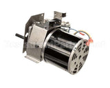 5031407 Multiplex Motor