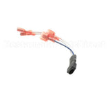 5031658 Multiplex Rectifier Bridge