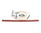 5032483 Alto Shaam Igniter Kit