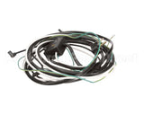 504-318C Beverage Air Wire Harness Smfs