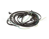 504-318C Beverage Air Wire Harness Smfs