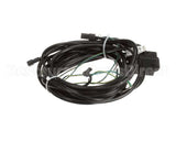 504-384C Beverage Air Wiring Harn. Uc/Wt27 Freezer