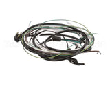504-764C Beverage Air Harness - Wiring Sp60/72