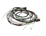 504-764C Beverage Air Harness - Wiring Sp60/72