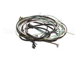 504-764C Beverage Air Harness - Wiring Sp60/72