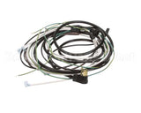504-764C Beverage Air Harness - Wiring Sp60/72