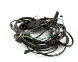504-788C Beverage Air Harness - Wire Ucf48