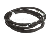 5056948 Convotherm Thermocouple Probe Boiler 1700