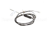 5081 Alto Shaam Probe Assembly As-250