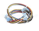 50832115 Victory Harness-Wire,Rtn400 Connect,Eliwell