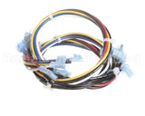 50832115 Victory Harness-Wire,Rtn400 Connect,Eliwell