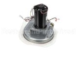 50DK406815 Bryant Payne Combustion Blower Motor