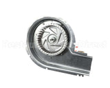 50DK406816 Bryant Payne Inducer Motor Assembly