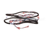 512299 Duke Harness,Proofer Lgts.&Bpr