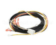 512764 Duke Harness,Proofer Tsc
