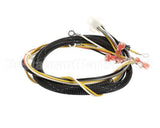 512764 Duke Harness,Proofer Tsc