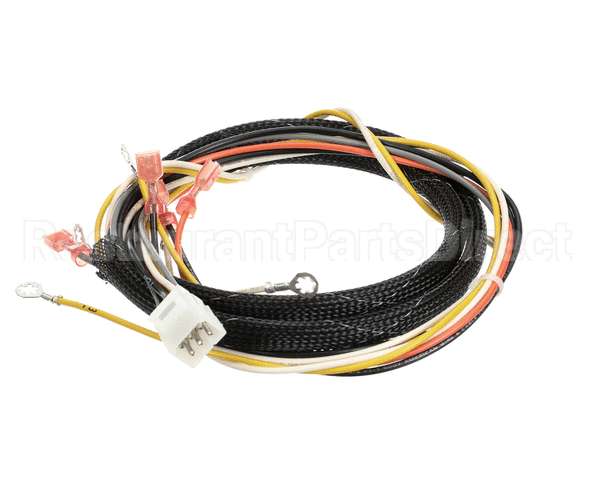 512764 Duke Harness,Proofer Tsc