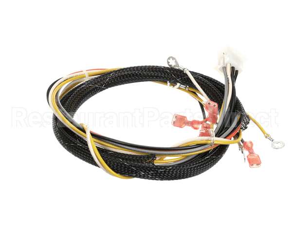 512764 Duke Harness,Proofer Tsc
