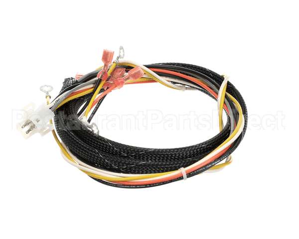 512764 Duke Harness,Proofer Tsc