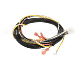 512764 Duke Harness,Proofer Tsc