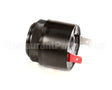 512766 Duke Buzzer,Ultra Sound Cont T